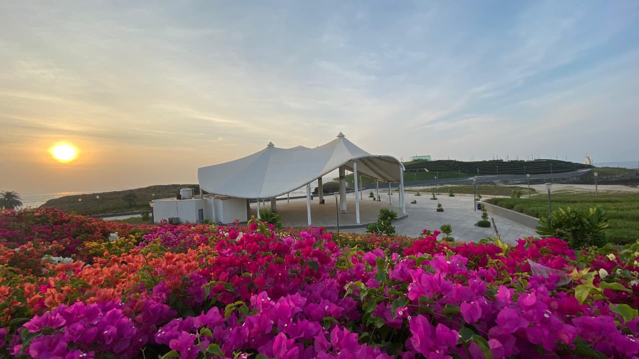Sea side flowers